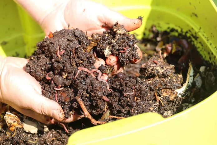 Compost for Cash - MyCity Logan